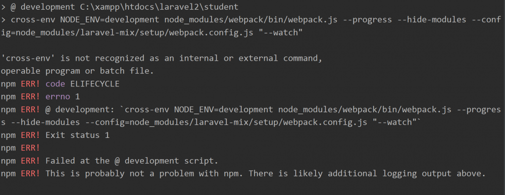 npm run watch.PNG